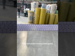 10 mm Twinwall UV Bloqueado Estufas Transparente de Policarbonato Folha de Fava de Mel