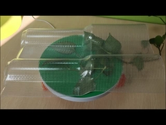 Chapas de telhados em PET