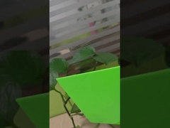 chapa sólida de policarbonato verde opaco