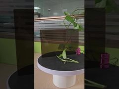 Chapa de Policarbonato Sólido Marrom 3mm Anti-Impacto com Proteção UV em um Lado