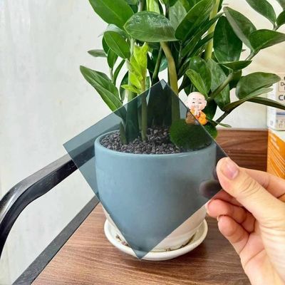 Folha sólida de policarbonato cinza resistente aos raios UV espessura 1,0 mm-18,0 mm